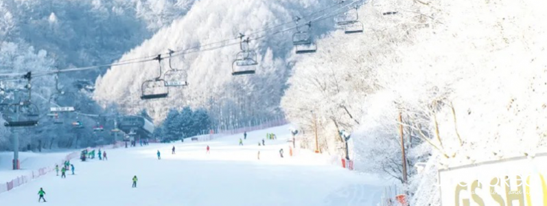 [BP1]DA27ED3DB344C609C0DD81AADFCF3147[#!#]6 人座商務車[#!#]旅客 1~5 人/不包括行李箱[BP1][##!##][BP2]4[BP2][##!##][BP3]5000[BP3][##!##][BP4]20000[BP4][@!@][BP1]C3035AD16F150EDC8C1F5513CE4F2ABB[#!#]11 人座商務車[#!#]旅客 6~9 人/不包括行李箱[BP1][##!##][BP2]8[BP2][##!##][BP3]4000[BP3][##!##][BP4]32000[BP4]