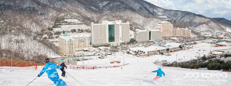 【韓國包車一日遊】滑雪體驗-Sono Vivaldi Park 洪川大明滑雪場