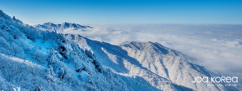 [BP1]DA27ED3DB344C609C0DD81AADFCF3147[#!#]6 人座商務車[#!#]旅客 1~5 人/不包括行李箱[BP1][##!##][BP2]4[BP2][##!##][BP3]4650[BP3][##!##][BP4]18600[BP4][@!@][BP1]C3035AD16F150EDC8C1F5513CE4F2ABB[#!#]11 人座商務車[#!#]旅客 6~9 人/不包括行李箱[BP1][##!##][BP2]8[BP2][##!##][BP3]3800[BP3][##!##][BP4]30400[BP4]