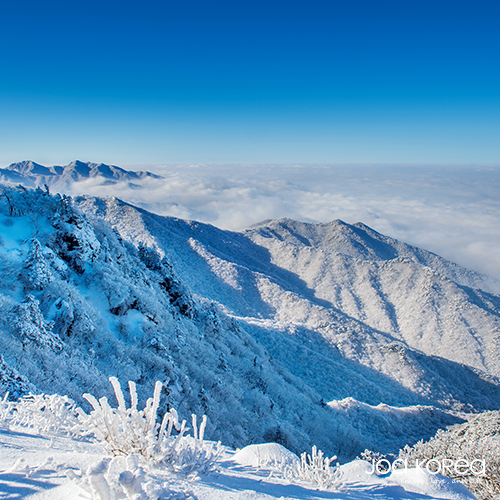 【韓國包車一日遊】雪嶽山賞雪
