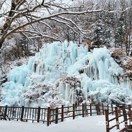 【韓國包車一日遊】魚飛溪谷 & 草泥馬樂園