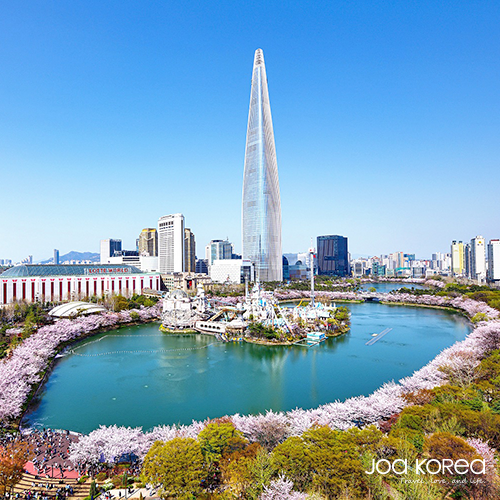 【韓國包車一日遊】石村湖賞櫻花/樂天世界塔
