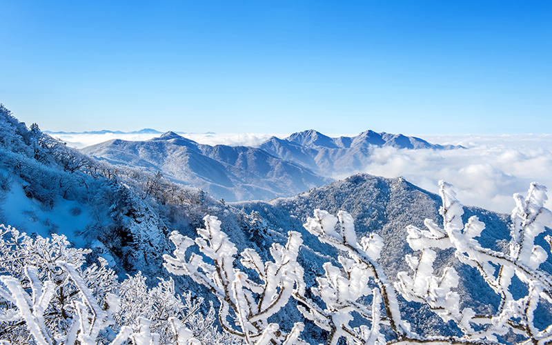雪嶽山-5