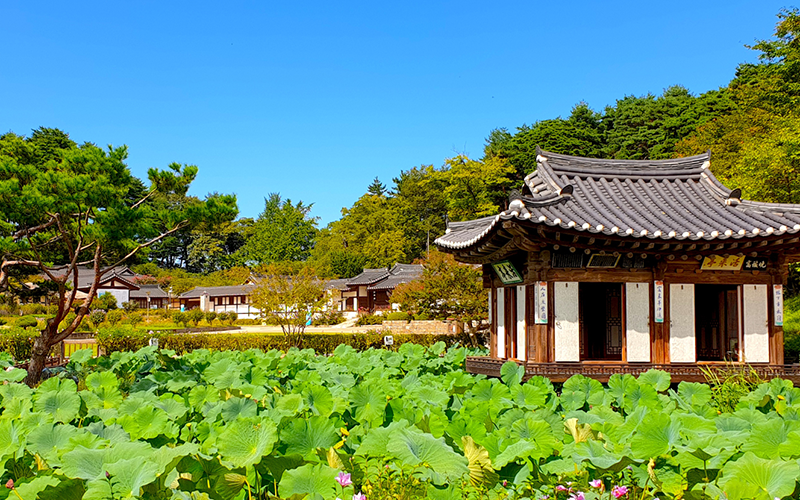 船橋莊-1