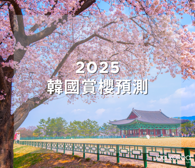 2025 最新韓國賞櫻預測.韓國櫻花季什麼時候?