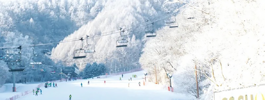 【韓國迷你小團】首爾滑雪體驗5日